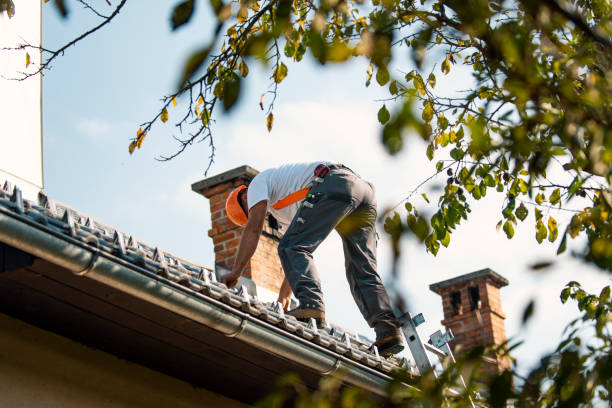 Best Roof Replacement Cost  in Luverne, MN