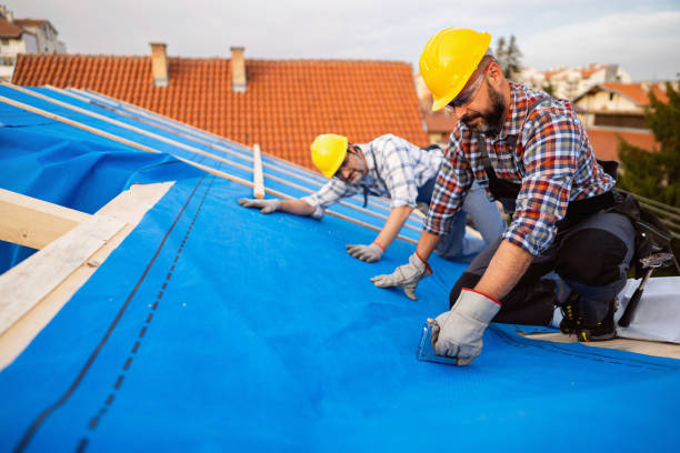 Roof Gutter Cleaning in Luverne, MN