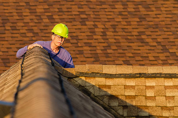 Best Roof Restoration Services  in Luverne, MN