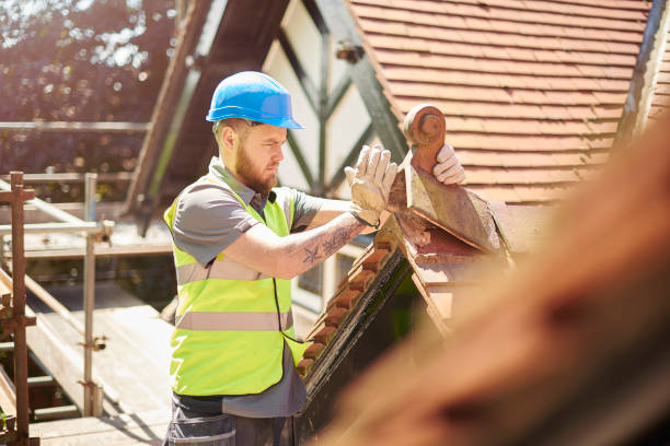 Best Roof Gutter Cleaning  in Luverne, MN
