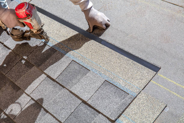 Best Flat Roof Repair Services  in Luverne, MN