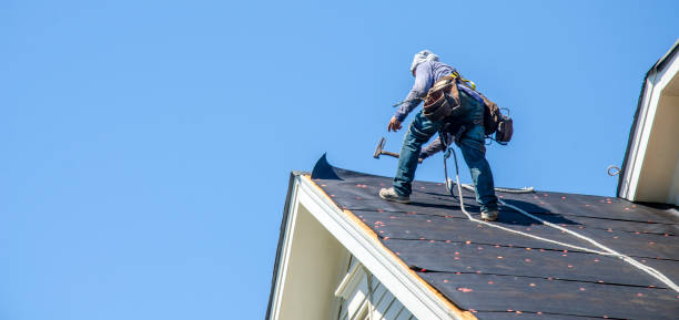 Best Roof Maintenance Services  in Luverne, MN